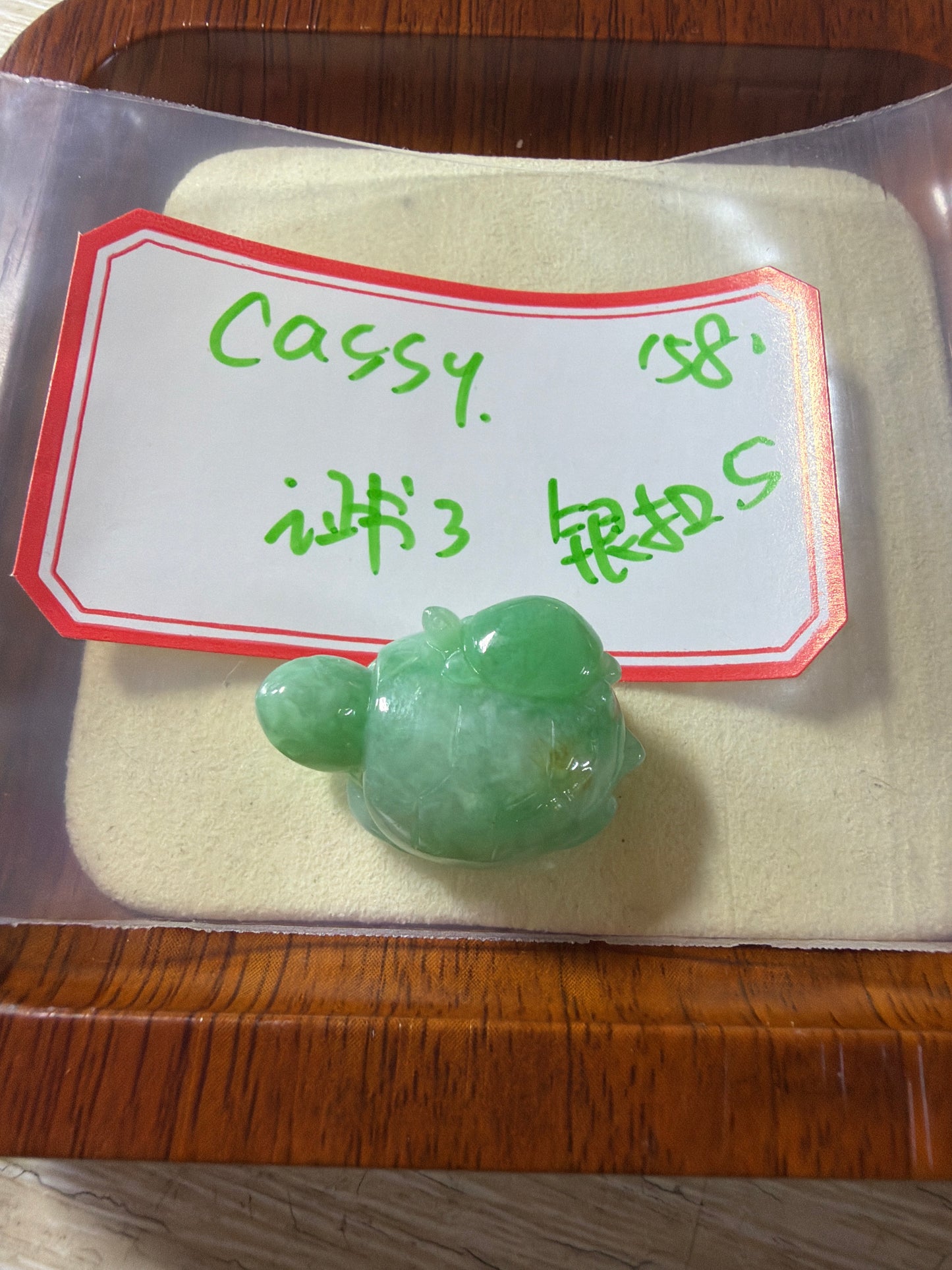 Cassy link 26 6.23♉️