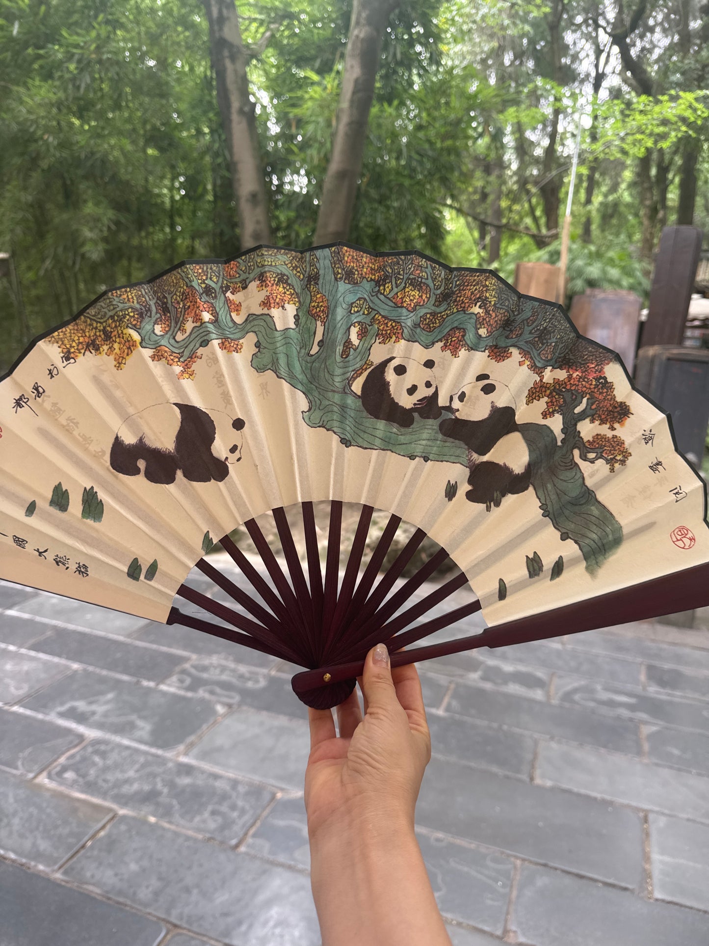 Kaika link 25 5.9 man