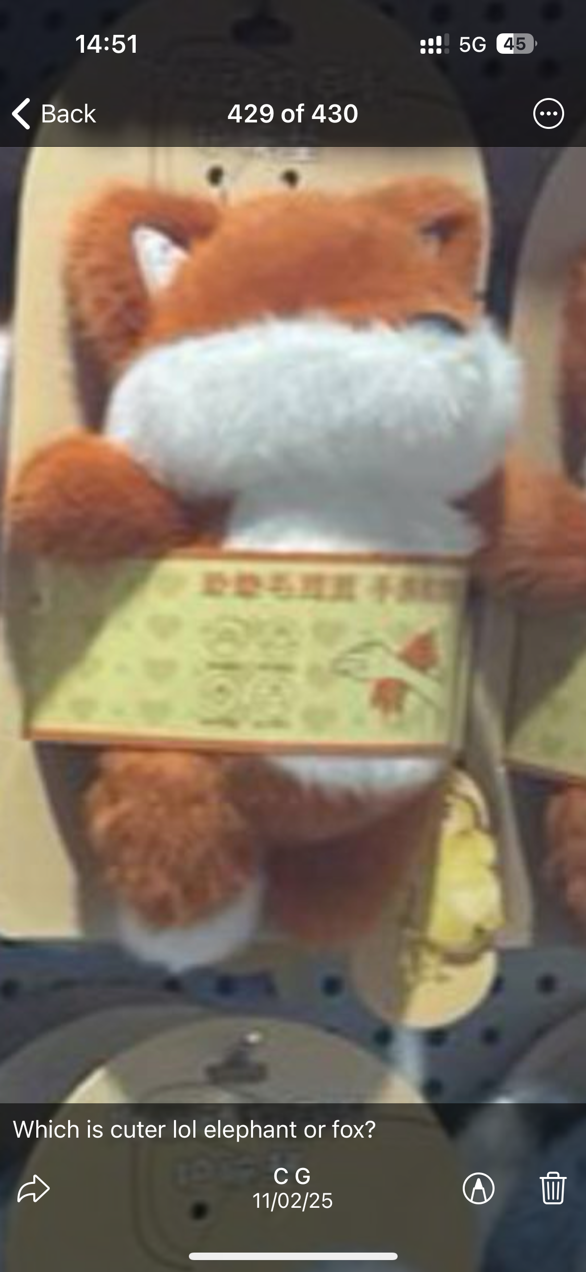 Gaby link 25 11.2 man