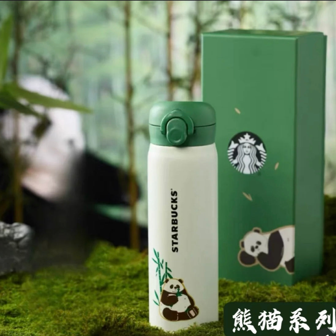 Starbucks cup num 677