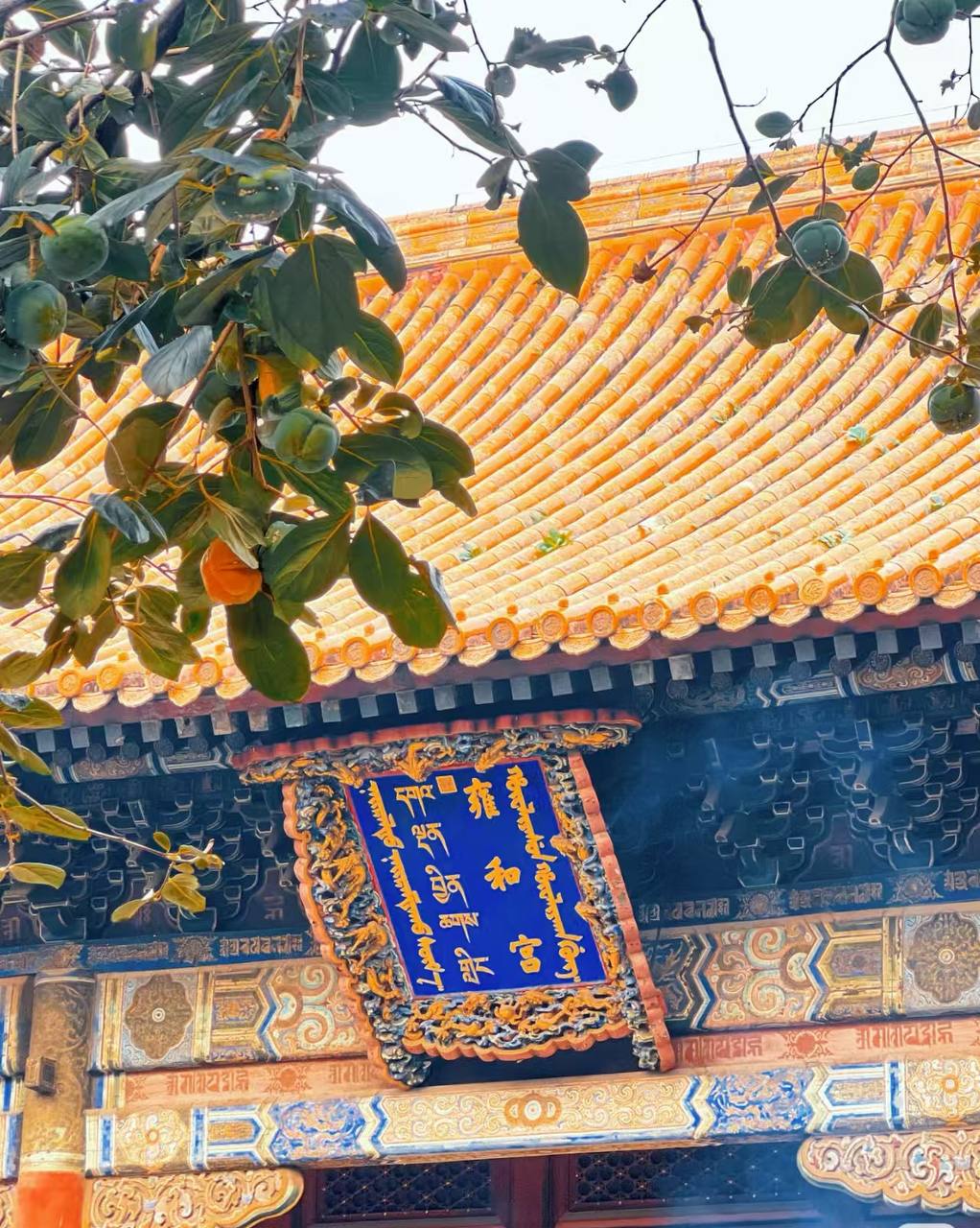 Blessing for temple bracelet(only for after claimed bracelet)