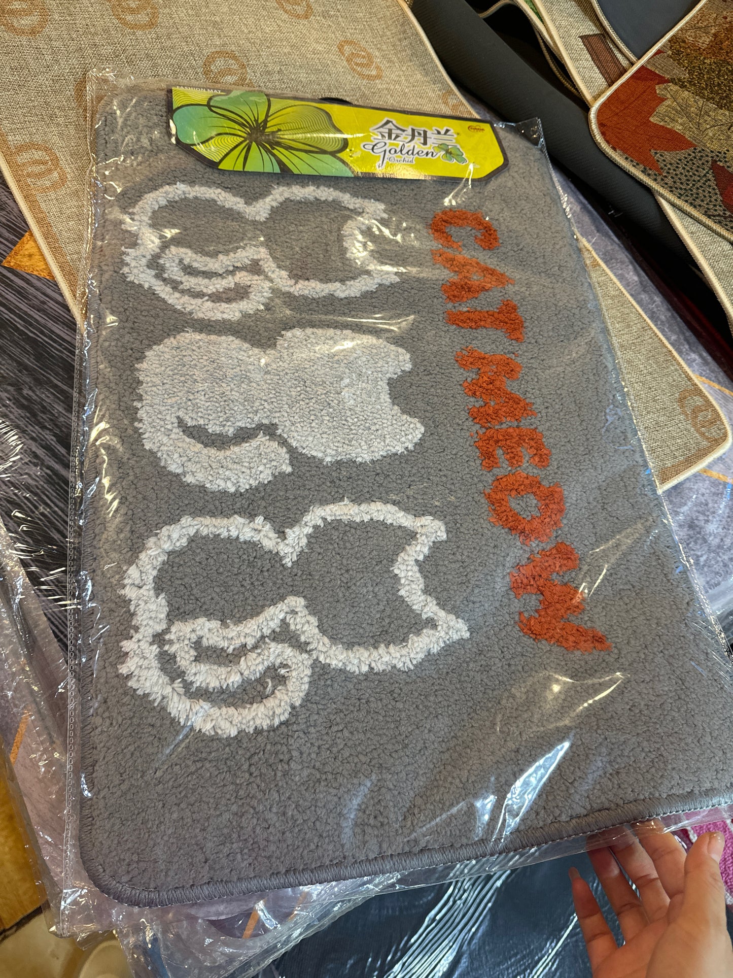 Regina link 24 10.30 man