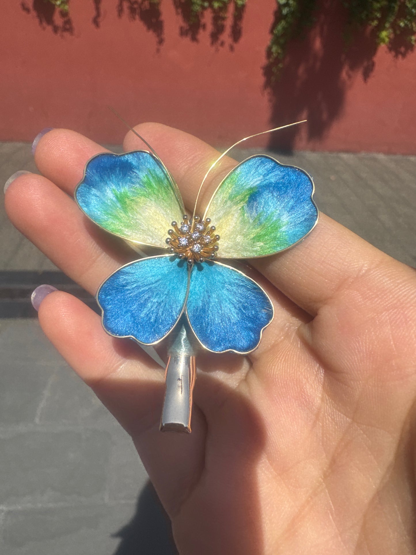 Nova Teddy link 25 9.19 man