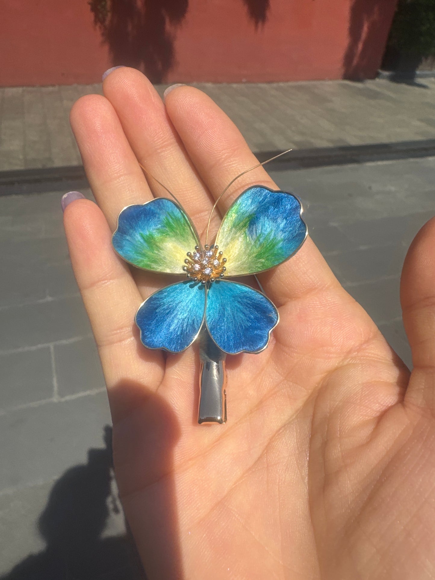 Nova Teddy link 25 9.19 man