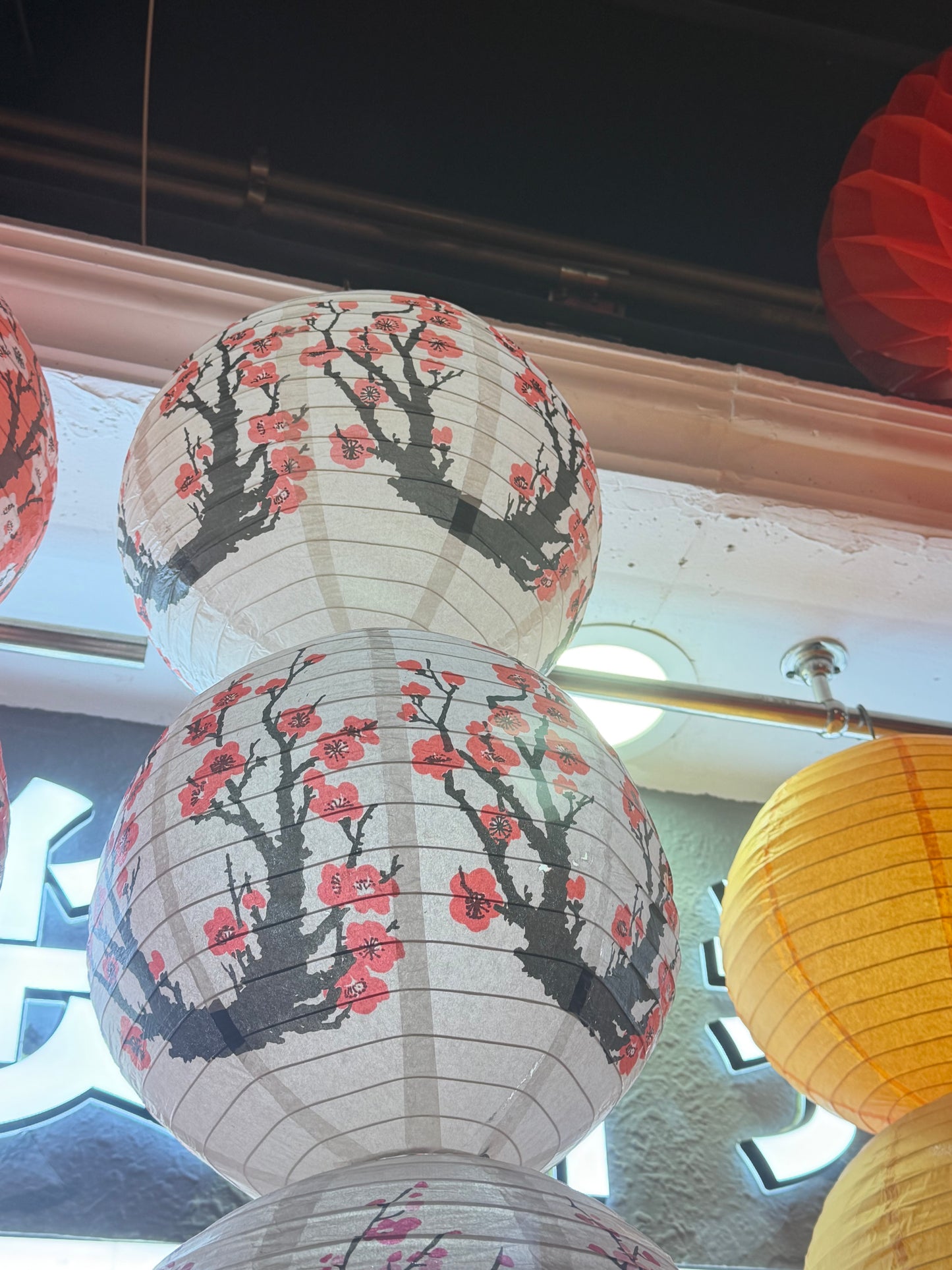 Terri link 25 12.11 man