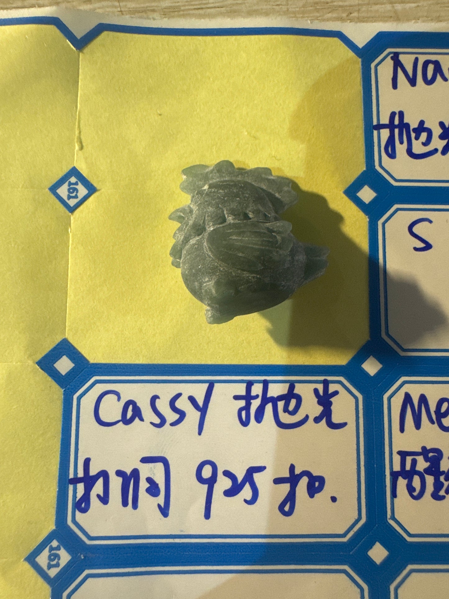 Cassy link 25 10.25 man