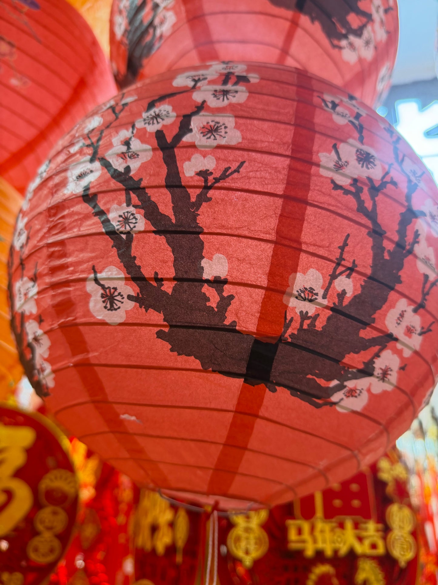 Terri link 25 12.11 man