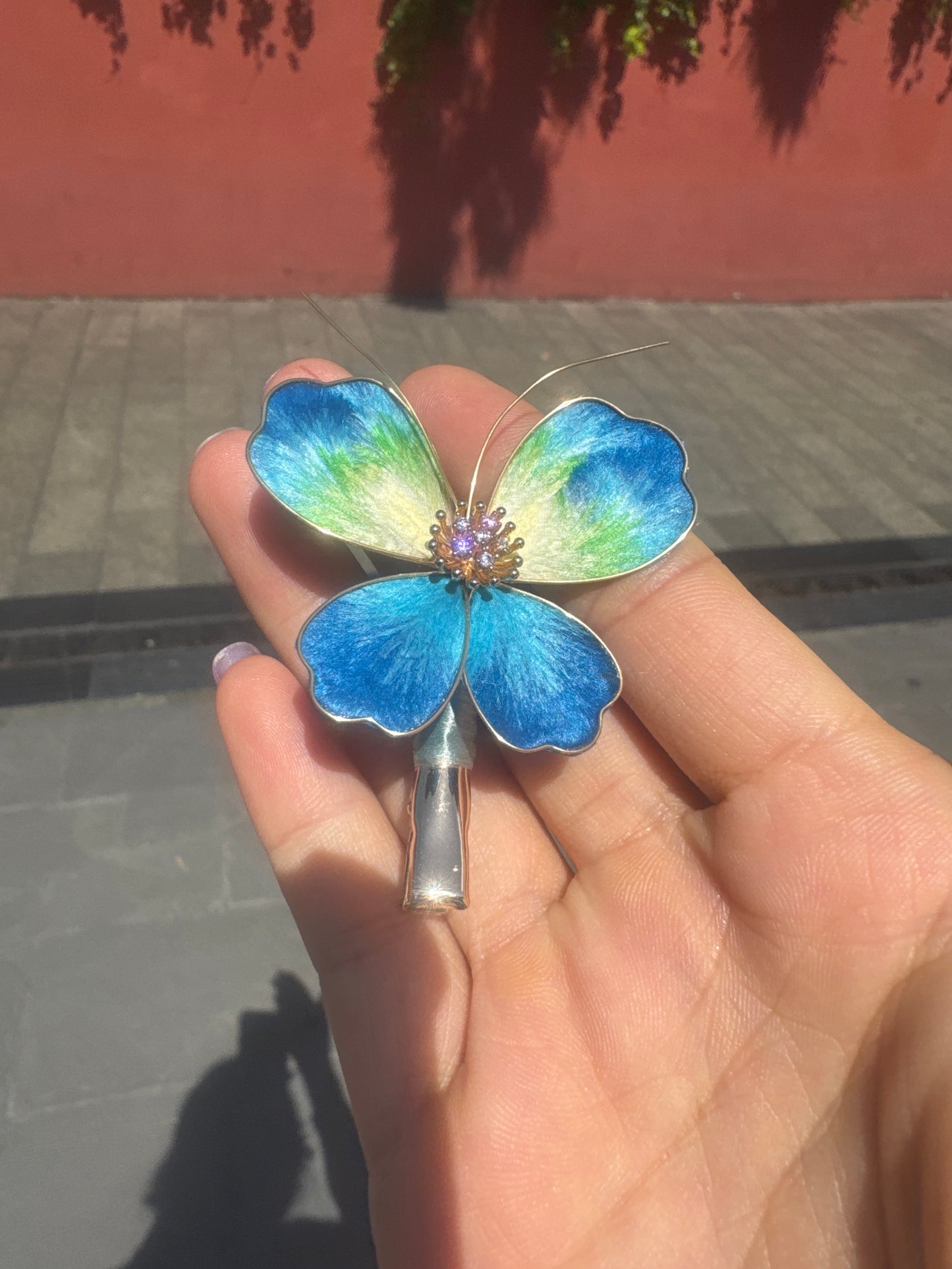 Nova Teddy link 25 9.19 man