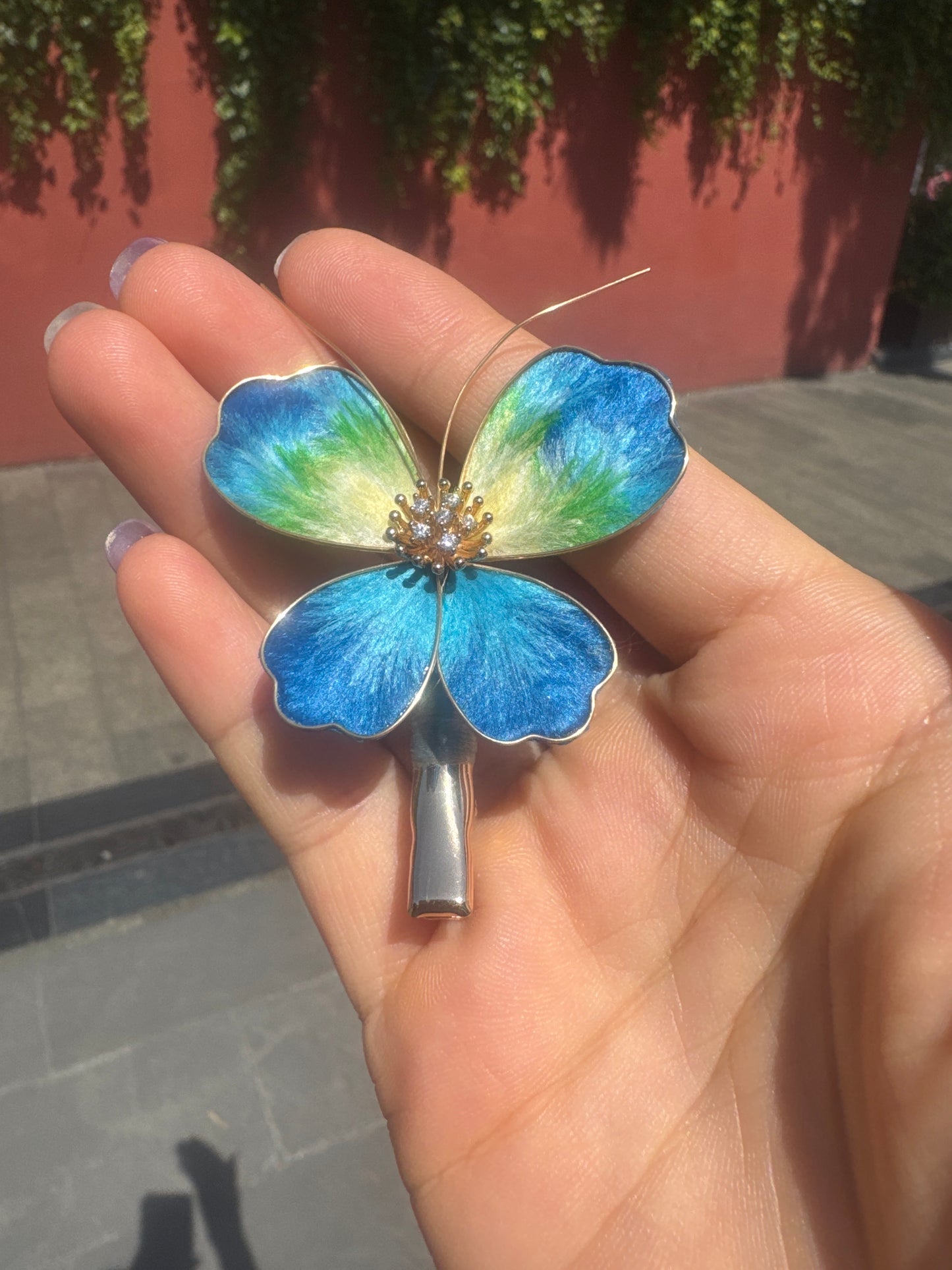 Nova Teddy link 25 9.19 man